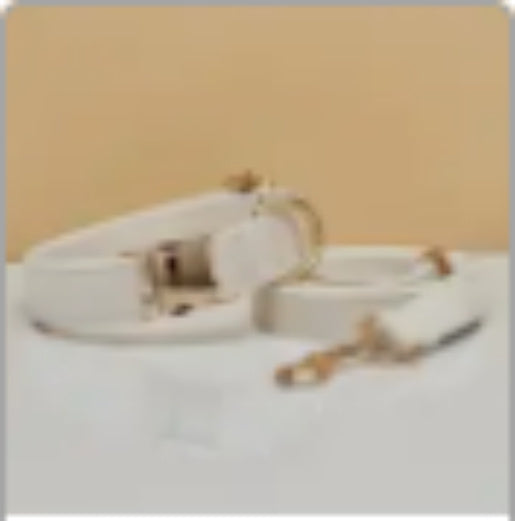 Multiple Colour Velvet Personalise Dog Collar Leash Set With Bow